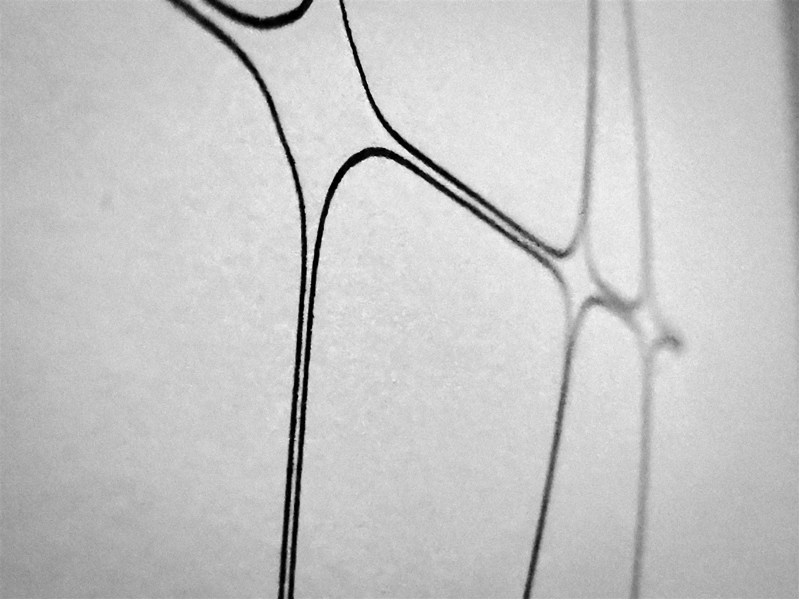 Tangled Field — one-of-one plotted field on cotton rag