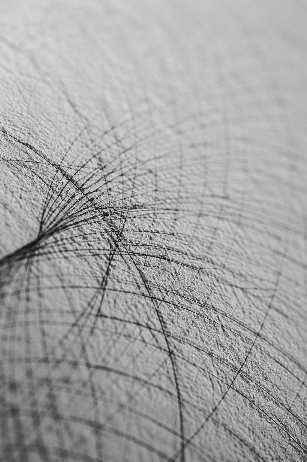Microcosm — one-of-one plotted field on cotton rag