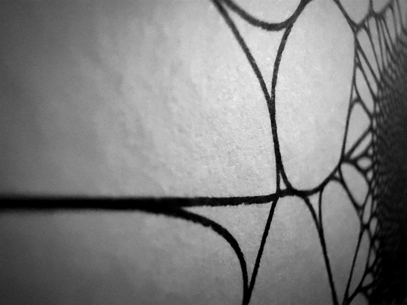 Hyphae Network — one-of-one plotted field on cotton rag