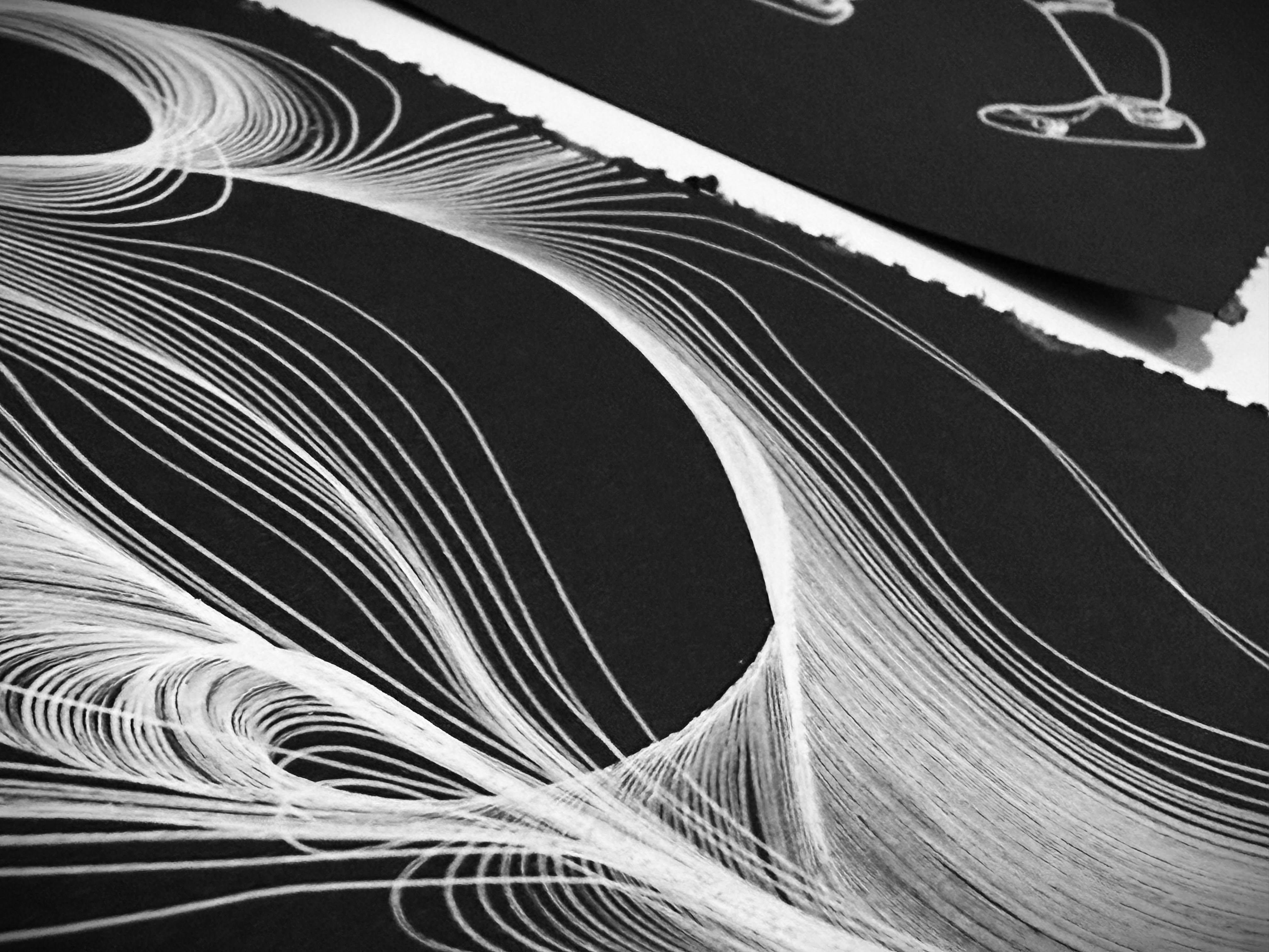 Flow study — continuous-line field, white on black paper